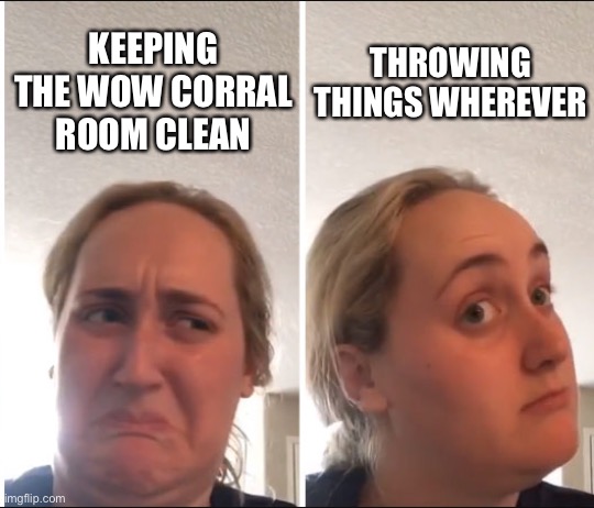 Kombucha Girl | KEEPING THE WOW CORRAL ROOM CLEAN; THROWING THINGS WHEREVER | image tagged in kombucha girl | made w/ Imgflip meme maker