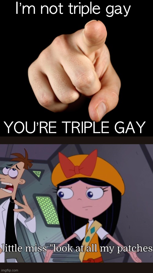 That’s him officer | I’m not triple gay; YOU’RE TRIPLE GAY | image tagged in that s him officer | made w/ Imgflip meme maker