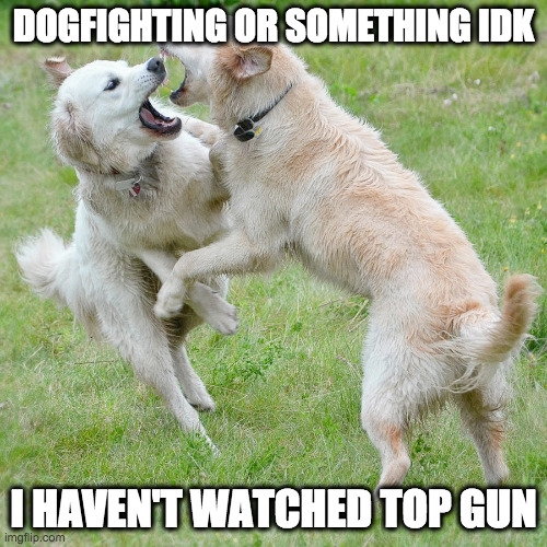 funni | DOGFIGHTING OR SOMETHING IDK; I HAVEN'T WATCHED TOP GUN | image tagged in memes | made w/ Imgflip meme maker