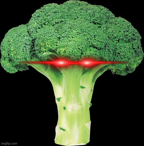 broccoli | image tagged in broccoli | made w/ Imgflip meme maker