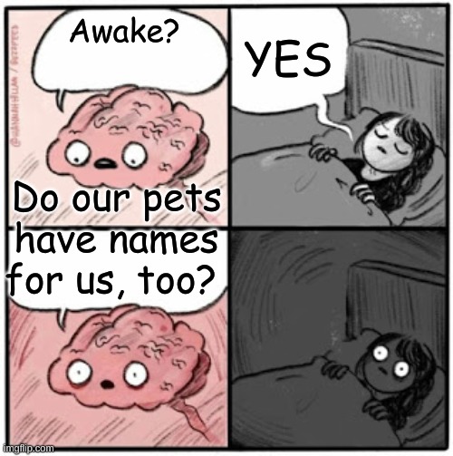 Pets | YES; Awake? Do our pets have names for us, too? | image tagged in brain before sleep,memes,funny,funny memes,philosophy,pets | made w/ Imgflip meme maker