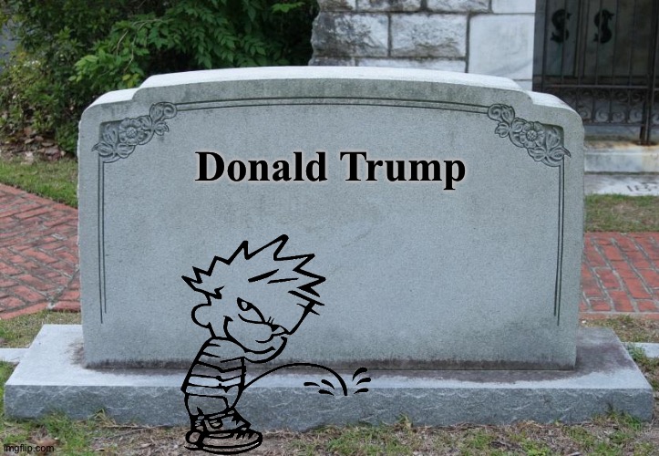 How America feels | Donald Trump | image tagged in gravestone correct text | made w/ Imgflip meme maker