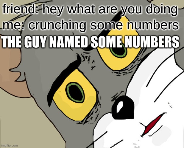 Unsettled Tom Meme | friend: hey what are you doing; me: crunching some numbers; THE GUY NAMED SOME NUMBERS | image tagged in memes,unsettled tom | made w/ Imgflip meme maker