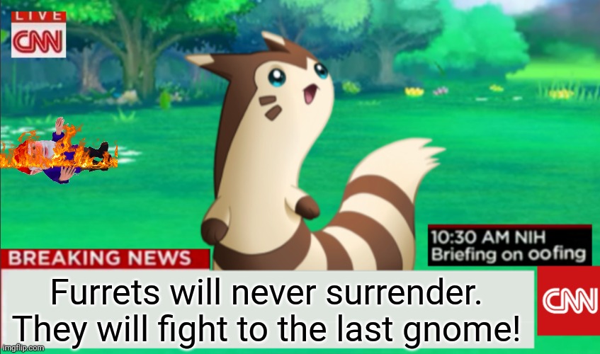 Breaking News Furret | Furrets will never surrender. They will fight to the last gnome! | image tagged in breaking news furret | made w/ Imgflip meme maker