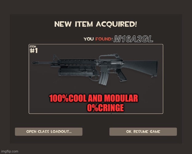 You got tf2 shit | M16A2GL; 100%COOL AND MODULAR                0%CRINGE | image tagged in you got tf2 shit | made w/ Imgflip meme maker