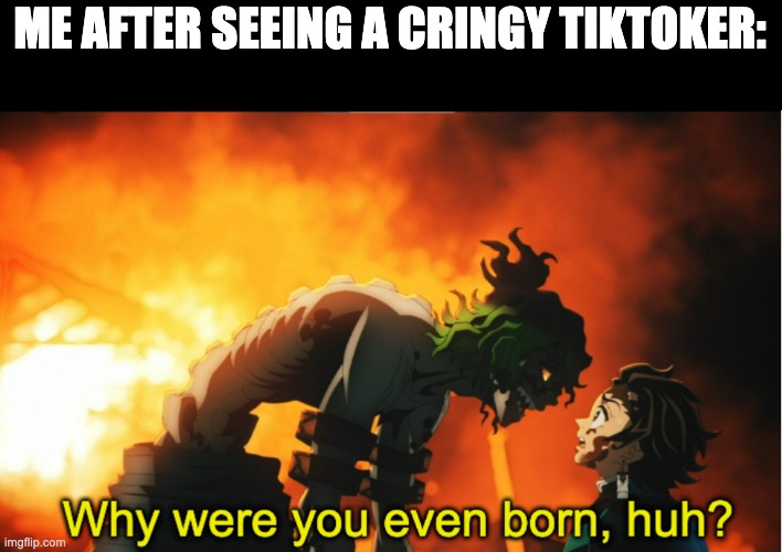 ???????? | ME AFTER SEEING A CRINGY TIKTOKER: | image tagged in why were you even born subtitled | made w/ Imgflip meme maker
