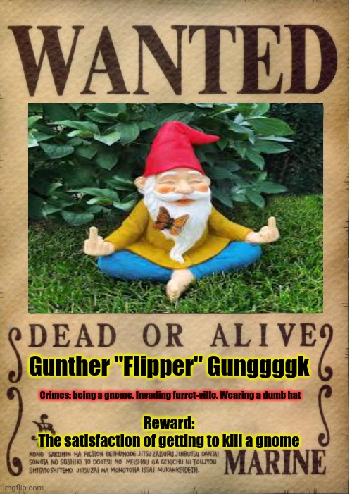 Wated for crimbs against homanity | Gunther "Flipper" Gunggggk; Crimes: being a gnome. Invading furret-ville. Wearing a dumb hat; Reward:
The satisfaction of getting to kill a gnome | image tagged in one piece wanted poster template,wanted,gnomes,flipping off | made w/ Imgflip meme maker