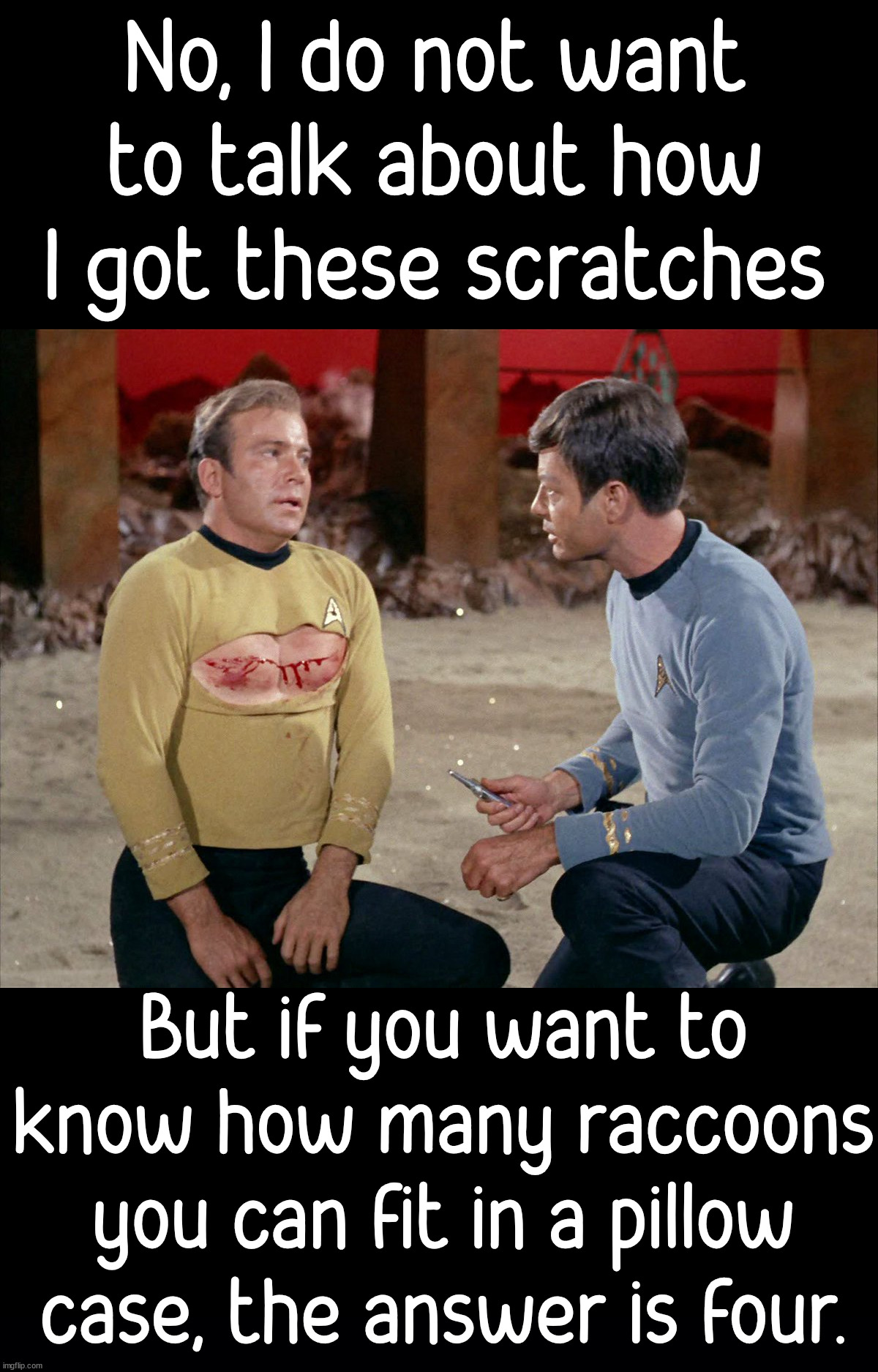  No, I do not want to talk about how I got these scratches; But if you want to know how many raccoons you can fit in a pillow case, the answer is four. | image tagged in star trek | made w/ Imgflip meme maker