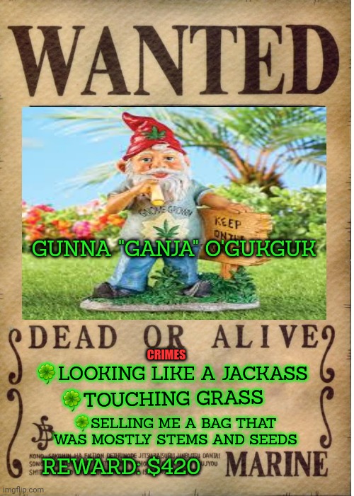 Get the gun | GUNNA "GANJA" O'GUKGUK; CRIMES; 🍀LOOKING LIKE A JACKASS; 🍀TOUCHING GRASS; 🍀SELLING ME A BAG THAT WAS MOSTLY STEMS AND SEEDS; REWARD: $420 | image tagged in one piece wanted poster template,gnomes,kill em all | made w/ Imgflip meme maker