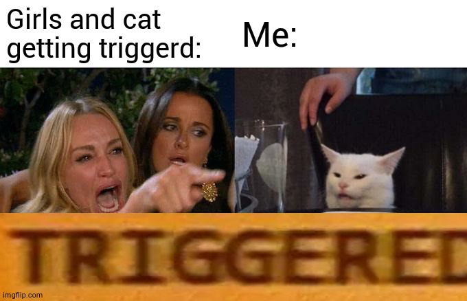Woman Yelling At Cat Meme | Girls and cat getting triggerd:; Me: | image tagged in memes,woman yelling at cat | made w/ Imgflip meme maker