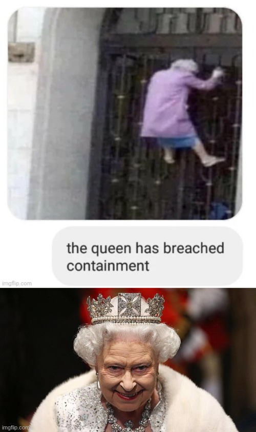 the queen has breached containment! | image tagged in the queen | made w/ Imgflip meme maker