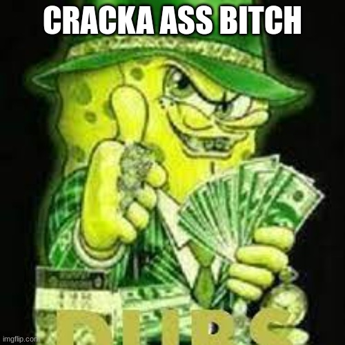 cracka | CRACKA ASS BITCH | image tagged in mocking spongebob | made w/ Imgflip meme maker