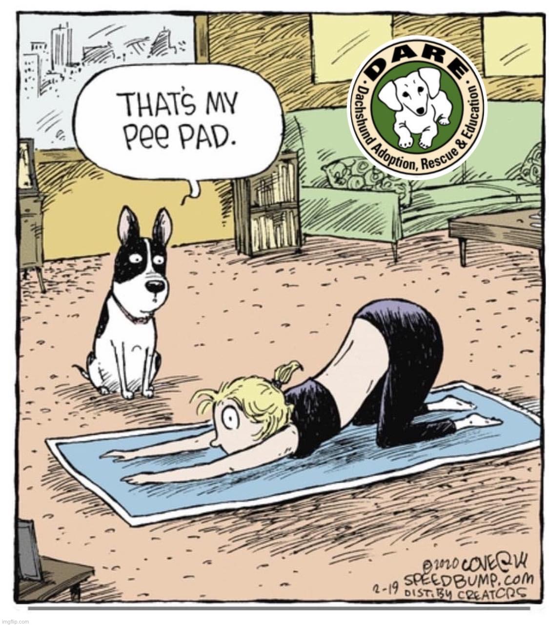 That’s my pee pad | image tagged in that s my pee pad | made w/ Imgflip meme maker