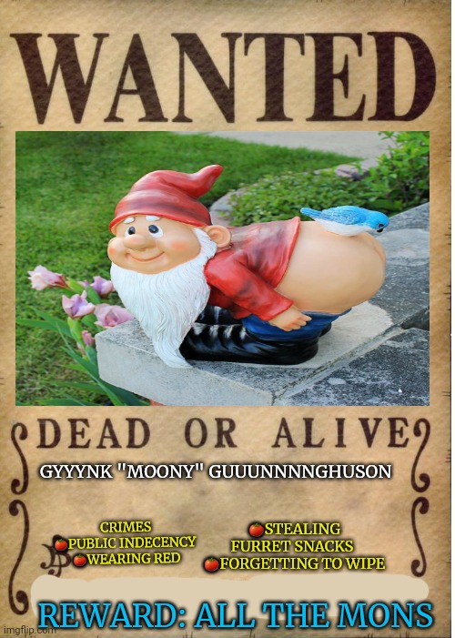 Get him! He's trying to get away! | GYYYNK "MOONY" GUUUNNNNGHUSON; 🍅STEALING FURRET SNACKS 
🍅FORGETTING TO WIPE; CRIMES
🍅PUBLIC INDECENCY 
🍅WEARING RED; REWARD: ALL THE MONS | image tagged in one piece wanted poster template,gnomes,hate,furret | made w/ Imgflip meme maker