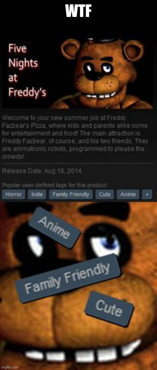 wtf is this | WTF | image tagged in fnaf | made w/ Imgflip meme maker