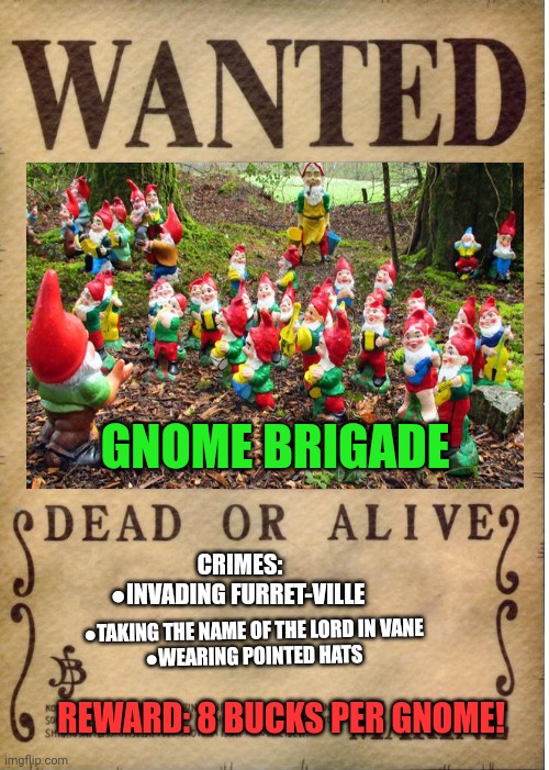 Correction: just dead. | GNOME BRIGADE; CRIMES:
●INVADING FURRET-VILLE; ●TAKING THE NAME OF THE LORD IN VANE
●WEARING POINTED HATS; REWARD: 8 BUCKS PER GNOME! | image tagged in one piece wanted poster template,wanted,dead or alive,just dead,gnomes | made w/ Imgflip meme maker