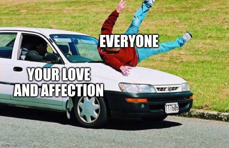 Guy run over by car | EVERYONE YOUR LOVE AND AFFECTION | image tagged in guy run over by car | made w/ Imgflip meme maker