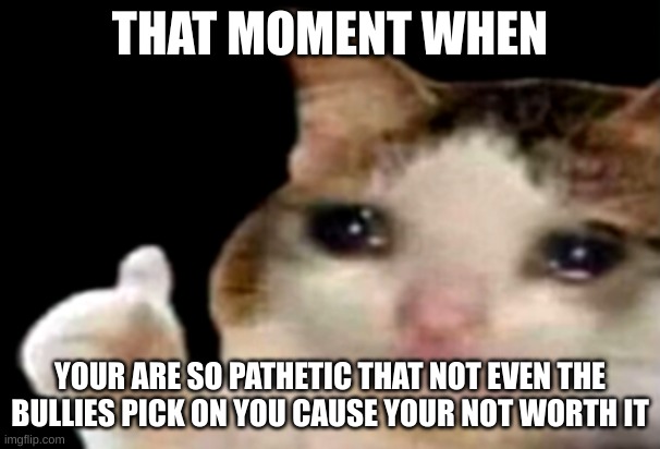 When your not worth being picked on | THAT MOMENT WHEN; YOUR ARE SO PATHETIC THAT NOT EVEN THE BULLIES PICK ON YOU CAUSE YOUR NOT WORTH IT | image tagged in sad cat thumbs up | made w/ Imgflip meme maker