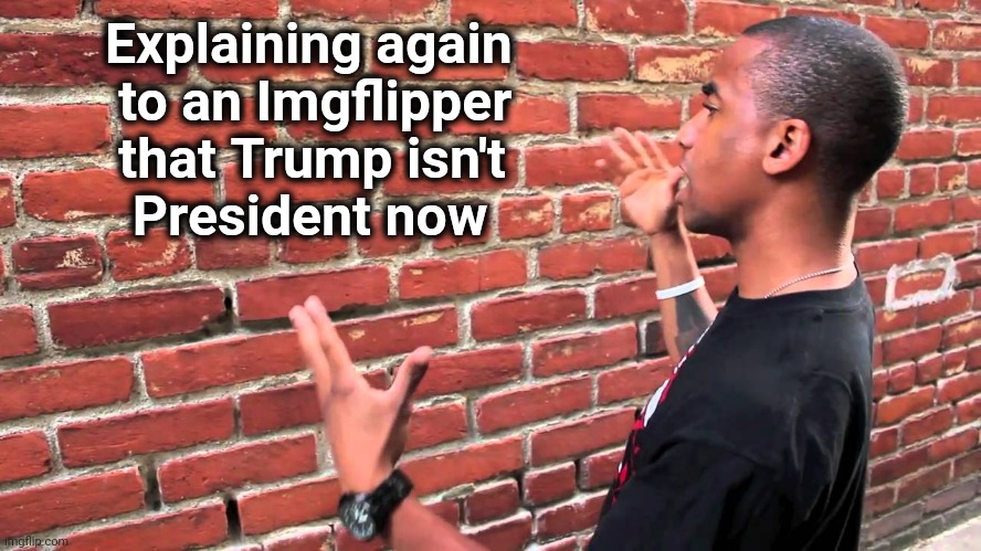 There's a whole new batch of them | Explaining again
   to an Imgflipper
   that Trump isn't
    President now | image tagged in talking to wall,trump derangement syndrome,you know what really grinds my gears,triggered liberal,teachers | made w/ Imgflip meme maker