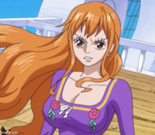 “Cat Burglar” Nami | image tagged in cat burglar nami | made w/ Imgflip meme maker