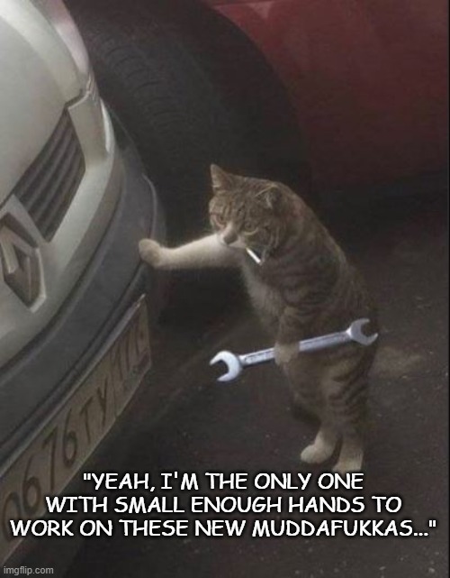 You gotta problem wid me? |  "YEAH, I'M THE ONLY ONE WITH SMALL ENOUGH HANDS TO WORK ON THESE NEW MUDDAFUKKAS..." | image tagged in cats,cars,mechanic,funny memes,pets | made w/ Imgflip meme maker