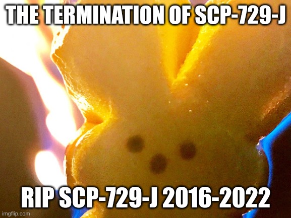  THE TERMINATION OF SCP-729-J; RIP SCP-729-J 2016-2022 | image tagged in funny | made w/ Imgflip meme maker