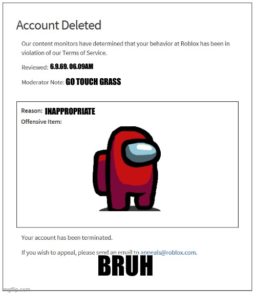 banned from ROBLOX | 6.9.69. 06.09AM; GO TOUCH GRASS; INAPPROPRIATE; BRUH | image tagged in banned from roblox | made w/ Imgflip meme maker