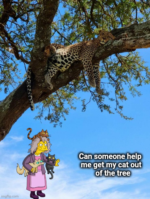 The first thing I thought of when I saw this picture |  Can someone help  
me get my cat out  
    of the tree | image tagged in woman yelling at cat,happy tree friends,help i accidentally,catwoman | made w/ Imgflip meme maker