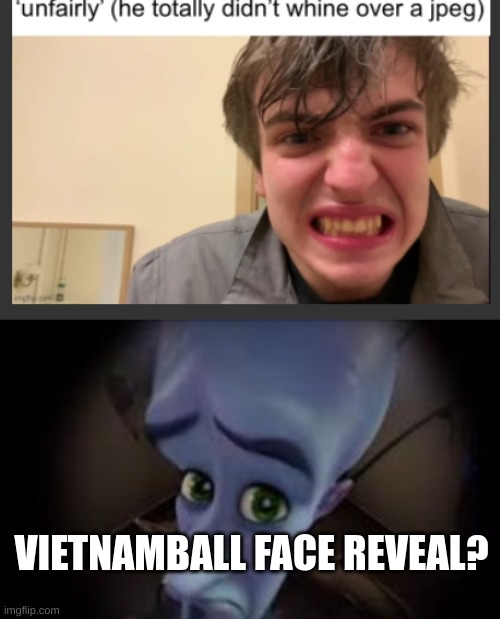 VIETNAMBALL FACE REVEAL? | made w/ Imgflip meme maker
