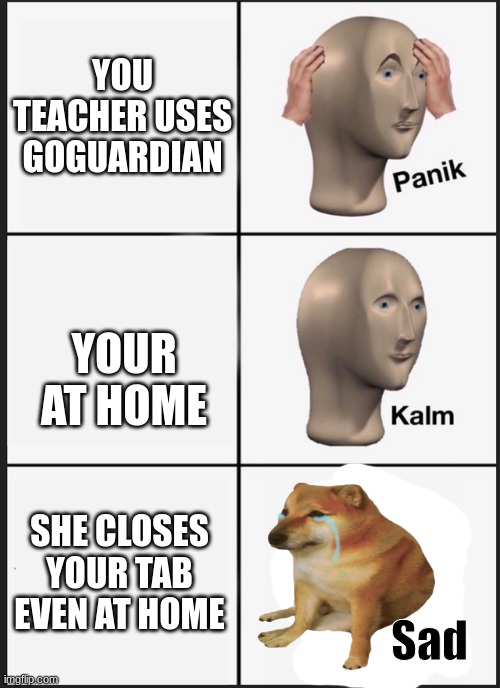 true story | YOU TEACHER USES GOGUARDIAN; YOUR AT HOME; SHE CLOSES YOUR TAB EVEN AT HOME | image tagged in panik kalm sad | made w/ Imgflip meme maker