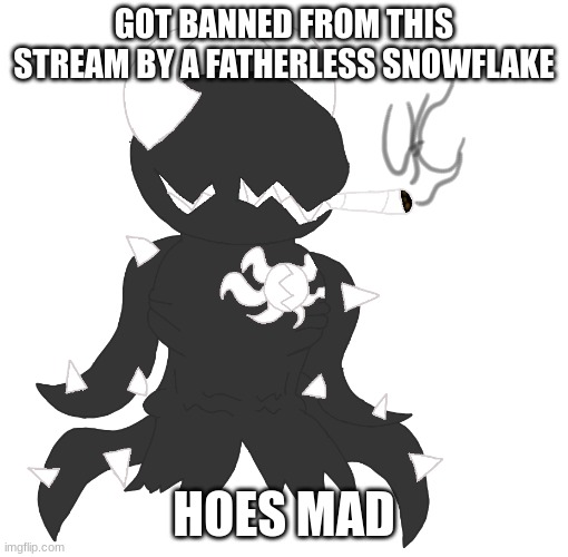 smoke | GOT BANNED FROM THIS STREAM BY A FATHERLESS SNOWFLAKE; HOES MAD | image tagged in smoke | made w/ Imgflip meme maker