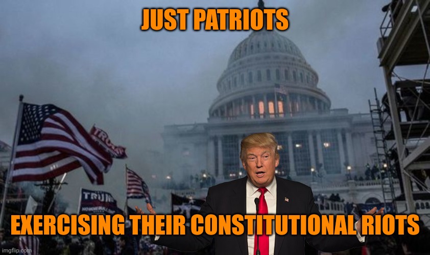 Can't spell patriot without r i o t | JUST PATRIOTS; EXERCISING THEIR CONSTITUTIONAL RIOTS | image tagged in misconstrued coup | made w/ Imgflip meme maker