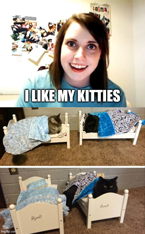  I LIKE MY KITTIES | image tagged in memes,overly attached girlfriend,cats | made w/ Imgflip meme maker