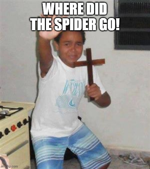 Scared Kid | WHERE DID THE SPIDER GO! | image tagged in scared kid | made w/ Imgflip meme maker