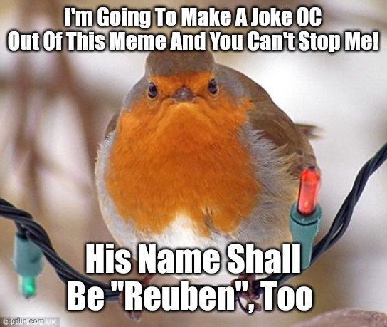 I Made A Joke OC Called "Reuben The Robin" :3 | I'm Going To Make A Joke OC Out Of This Meme And You Can't Stop Me! His Name Shall Be "Reuben", Too | image tagged in memes,bah humbug,joke oc,reuben the robin,lol | made w/ Imgflip meme maker