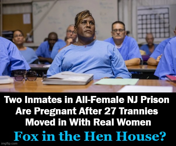Boys Will Be Boys? | Two Inmates in All-Female NJ Prison 
Are Pregnant After 27 Trannies 
Moved in With Real Women; Fox in the Hen House? | image tagged in political meme,interesting,transgender,oops,fox in the hen house,boys and girls | made w/ Imgflip meme maker