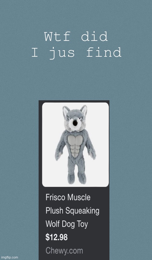 Chad | Wtf did I jus find | image tagged in doggos otaku music playlist announcement temp | made w/ Imgflip meme maker