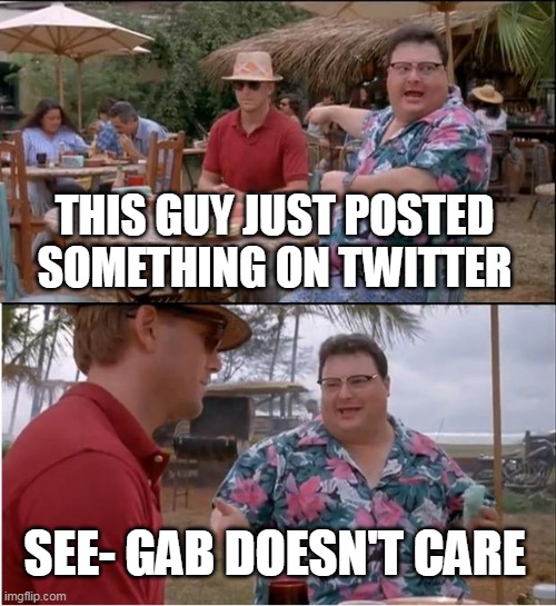 See Nobody Cares | THIS GUY JUST POSTED SOMETHING ON TWITTER; SEE- GAB DOESN'T CARE | image tagged in memes,see nobody cares | made w/ Imgflip meme maker