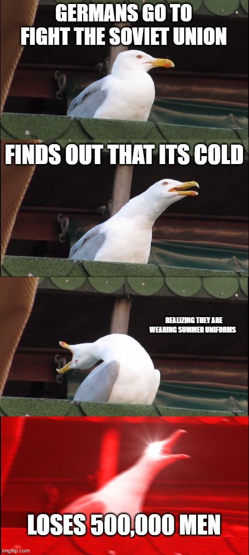 German and Soviet Union | GERMANS GO TO FIGHT THE SOVIET UNION; FINDS OUT THAT ITS COLD; REALIZING THEY ARE WEARING SUMMER UNIFORMS; LOSES 500,000 MEN | image tagged in memes,inhaling seagull | made w/ Imgflip meme maker