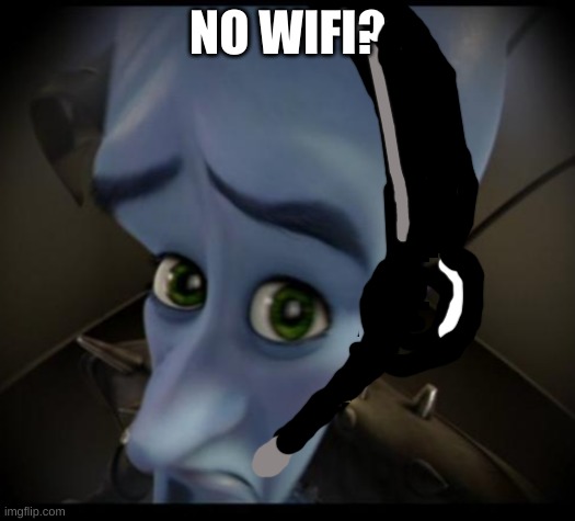 Playing video games be like | NO WIFI? | image tagged in no bitches,video games | made w/ Imgflip meme maker