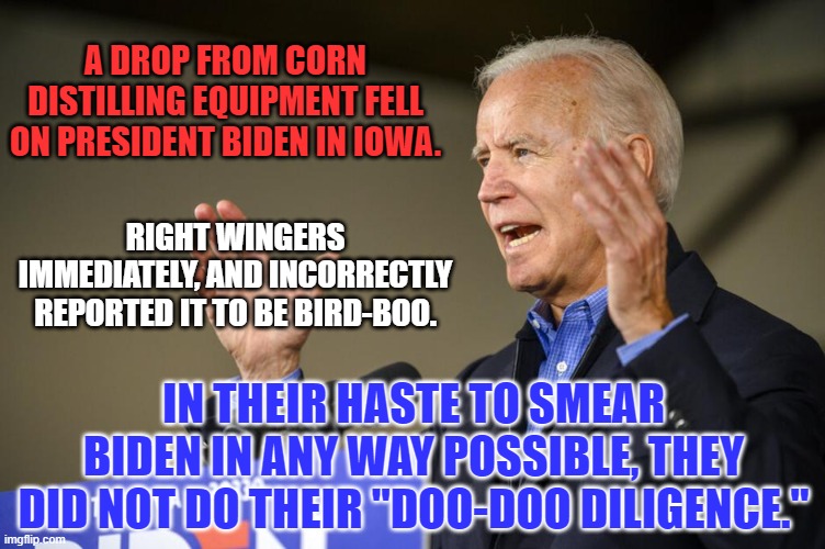 Extremists offer their wishes as "truth." Realists adapt their "wishes," to the truth. | A DROP FROM CORN DISTILLING EQUIPMENT FELL ON PRESIDENT BIDEN IN IOWA. RIGHT WINGERS IMMEDIATELY, AND INCORRECTLY REPORTED IT TO BE BIRD-BOO. IN THEIR HASTE TO SMEAR BIDEN IN ANY WAY POSSIBLE, THEY DID NOT DO THEIR "DOO-DOO DILIGENCE." | image tagged in politics | made w/ Imgflip meme maker