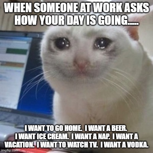 WORK | WHEN SOMEONE AT WORK ASKS HOW YOUR DAY IS GOING..... I WANT TO GO HOME.  I WANT A BEER.  I WANT ICE CREAM.  I WANT A NAP.  I WANT A VACATION.  I WANT TO WATCH TV.  I WANT A VODKA. | image tagged in crying cat | made w/ Imgflip meme maker