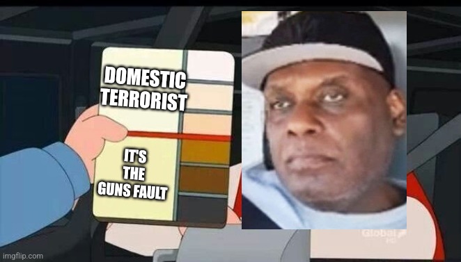 Check the Chart | DOMESTIC TERRORIST; IT'S THE GUNS FAULT | image tagged in peter griffin skin color chart race terrorist blank | made w/ Imgflip meme maker