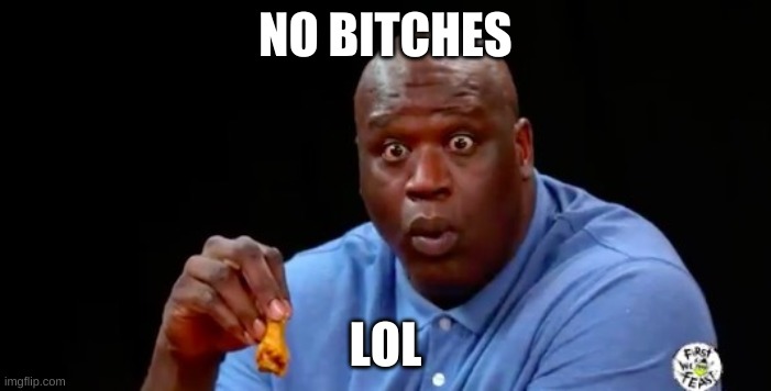 surprised shaq | NO BITCHES; LOL | image tagged in surprised shaq | made w/ Imgflip meme maker