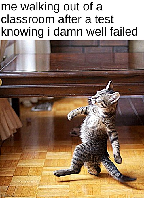 big fax | me walking out of a classroom after a test knowing i damn well failed | image tagged in cat walking like a boss | made w/ Imgflip meme maker