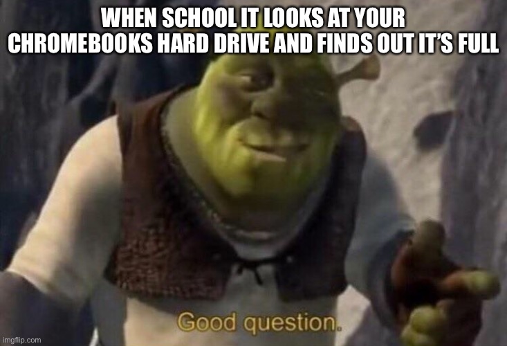 SOOO MUCH HOMEWORK | WHEN SCHOOL IT LOOKS AT YOUR CHROMEBOOKS HARD DRIVE AND FINDS OUT IT’S FULL | image tagged in shrek good question | made w/ Imgflip meme maker