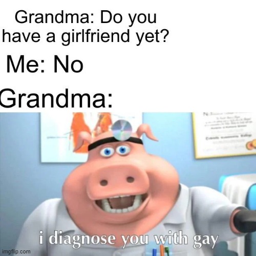i diagnose you with GAY | image tagged in i diagnose you with gay | made w/ Imgflip meme maker