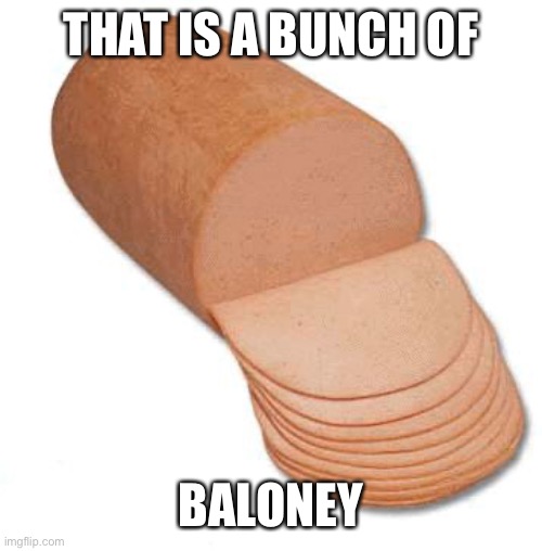 baloney | THAT IS A BUNCH OF BALONEY | image tagged in baloney | made w/ Imgflip meme maker