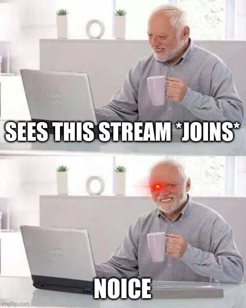 no |  SEES THIS STREAM *JOINS*; NOICE | image tagged in memes,hide the pain harold | made w/ Imgflip meme maker
