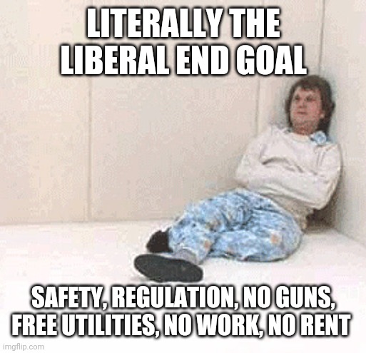 Padded cell room 1 | LITERALLY THE LIBERAL END GOAL SAFETY, REGULATION, NO GUNS, FREE UTILITIES, NO WORK, NO RENT | image tagged in padded cell room 1 | made w/ Imgflip meme maker